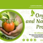 پروژه افترافکت تیزر تبلیغاتی غذا ارگانیک Organic Food Promo