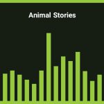 موزیک زمینه برای ویدیو کودکان Animal Stories