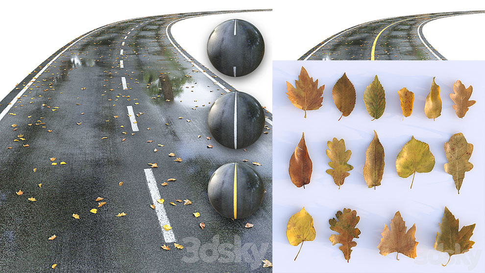 مدل سه بعدی جاده خیس با برگ های پاییزی Wet Road with Markings Autumn
